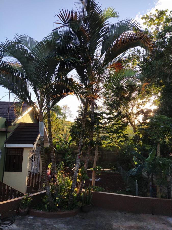 Gables Vacation Rentals With Private Gated Parking Onsite Knockpatrick ภายนอก รูปภาพ
