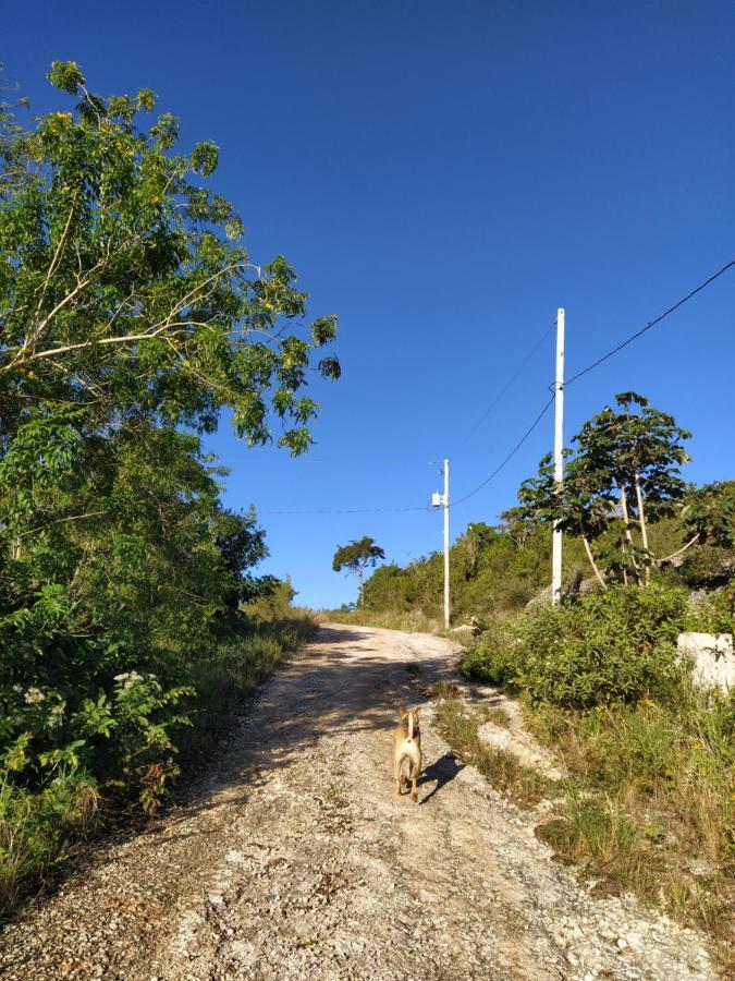 Gables Vacation Rentals With Private Gated Parking Onsite Knockpatrick ภายนอก รูปภาพ